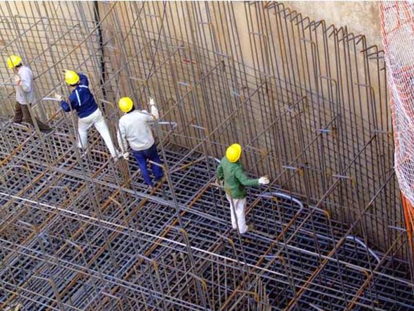 草莓视频在线观看网址