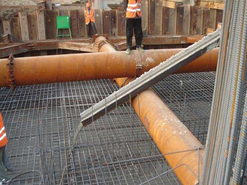 草莓视频在线观看网址