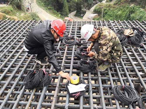 草莓视频在线观看网址